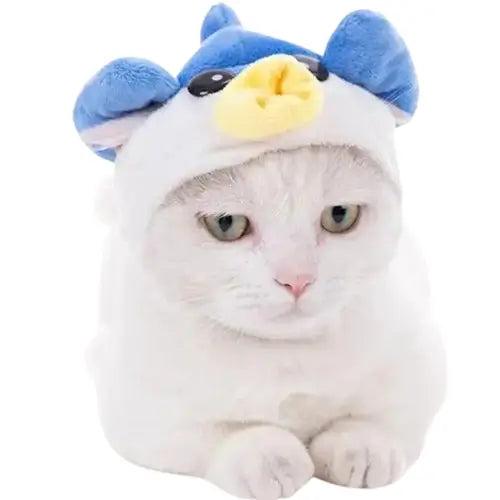 Chapeau pour Chat Oiseau Sauvage Transparent Background