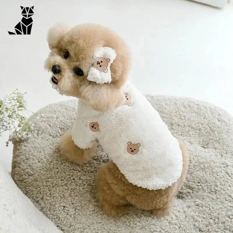 Petit chien en pull polaire assis sur un tapis avec des animaux en peluche