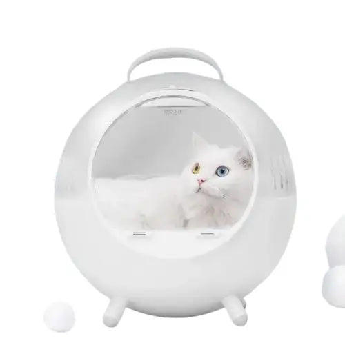 Sac De Transport Pour Un Chat Voyageur Paisible Et Serein - Blanc Transparent Background