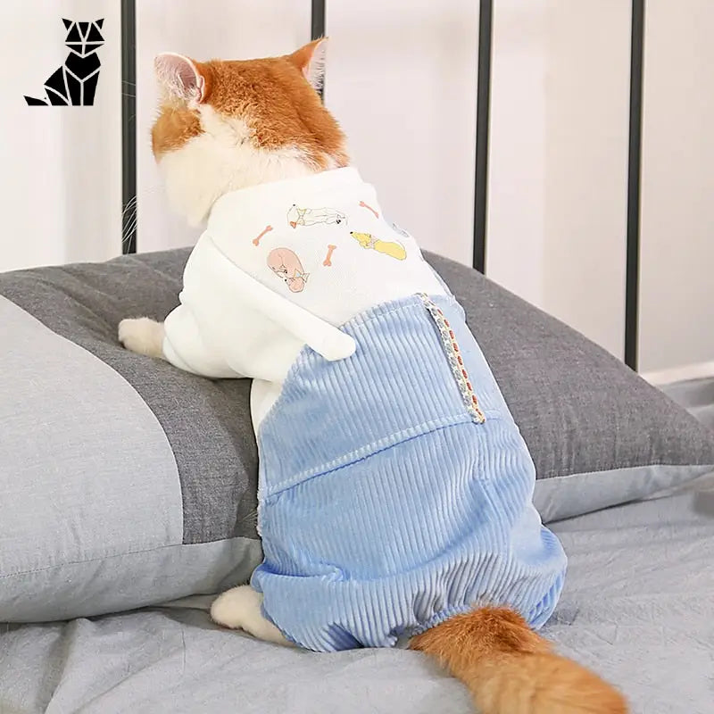 Chat sur un lit avec des vêtements chauds pour chats, parfait pour les saisons froides